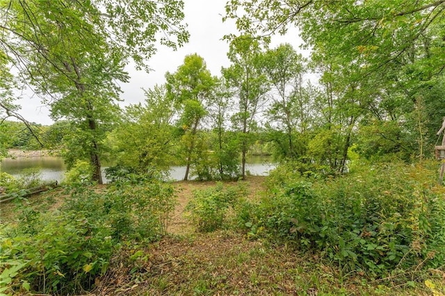 view of local wilderness with a water view