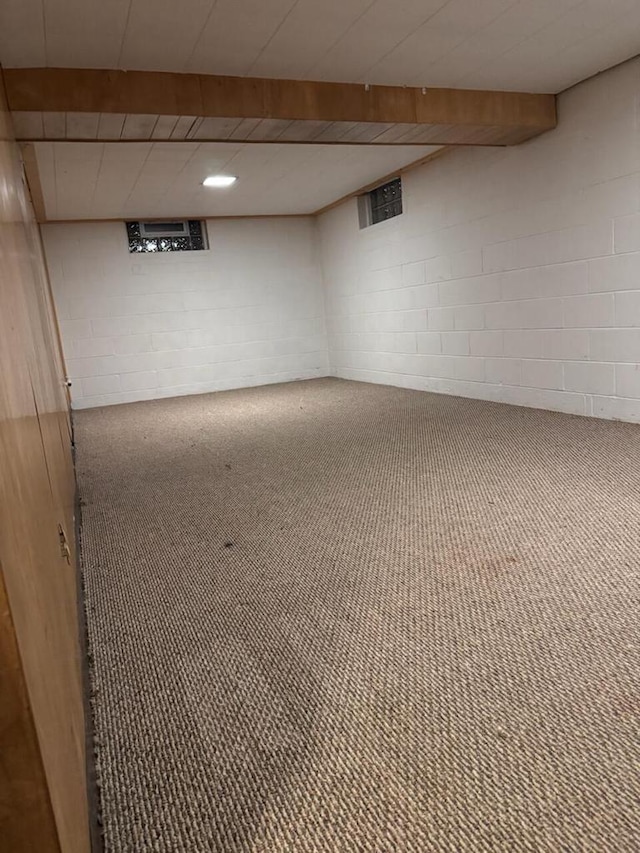 basement featuring carpet flooring