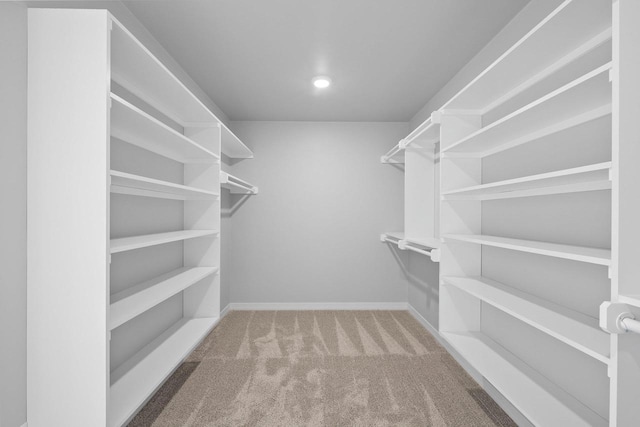 walk in closet featuring carpet flooring