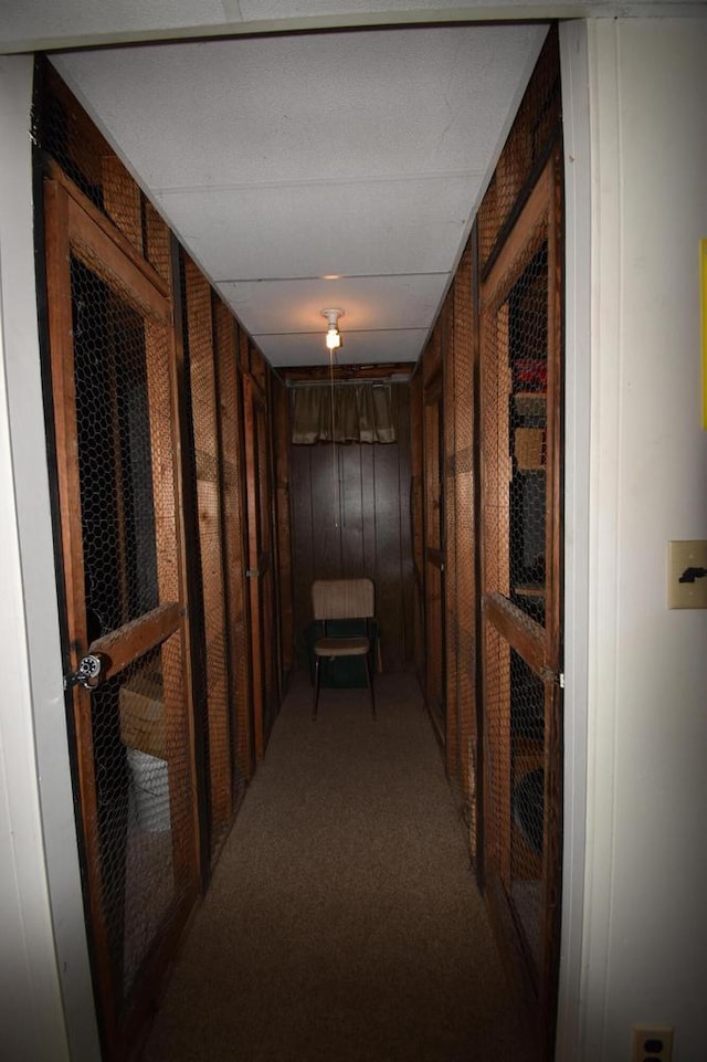 hall featuring carpet flooring and wooden walls