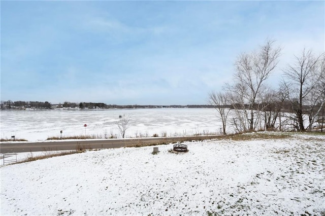 view of yard covered in snow