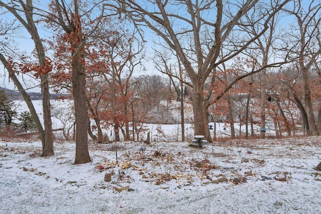 view of yard covered in snow