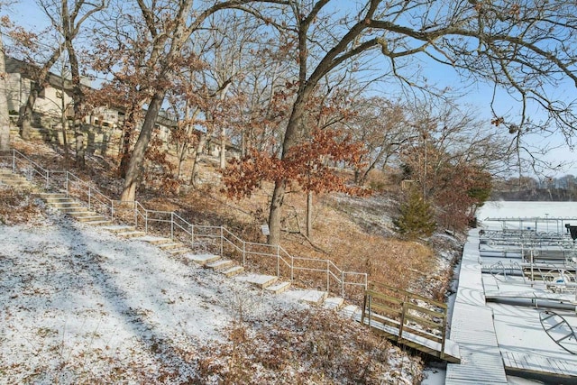 view of yard covered in snow