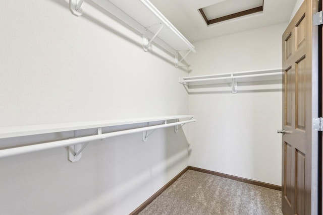 spacious closet with attic access and carpet flooring