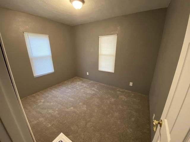 spare room with a textured ceiling, carpet floors, and a healthy amount of sunlight