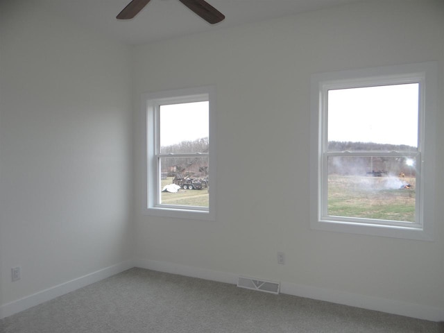 spare room with carpet floors and a wealth of natural light