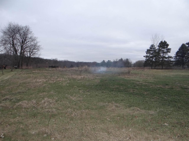 view of yard with a rural view