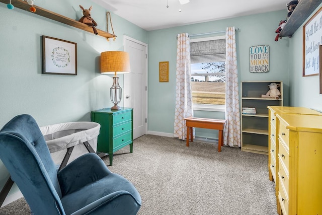 sitting room featuring carpet