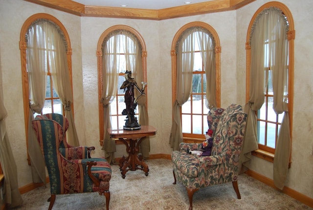 living area featuring carpet and crown molding