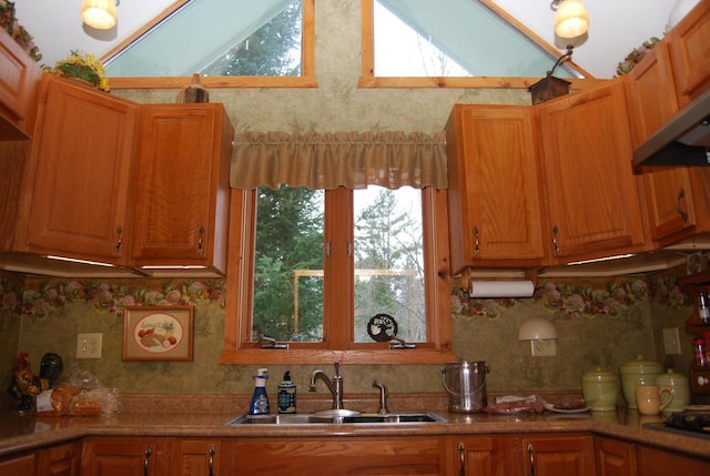 kitchen featuring a skylight, range hood, a healthy amount of sunlight, and sink