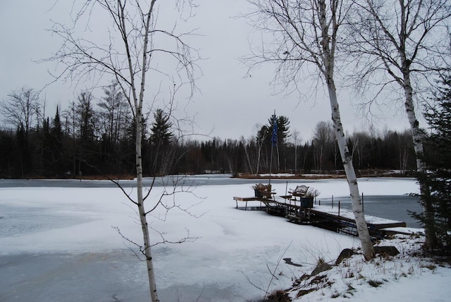 view of yard layered in snow