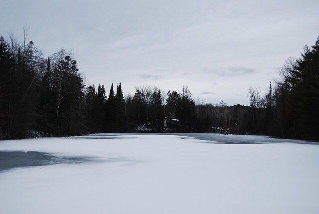 N11502 Nelson Rd, Wausaukee, WI 54177 - view of snowy yard