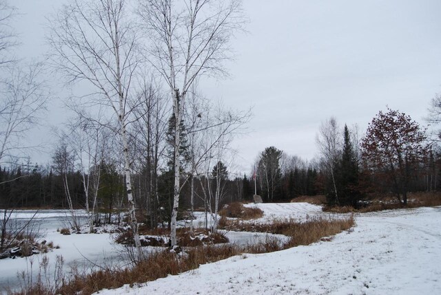 N11502 Nelson Rd, Wausaukee, WI 54177 - view of yard layered in snow