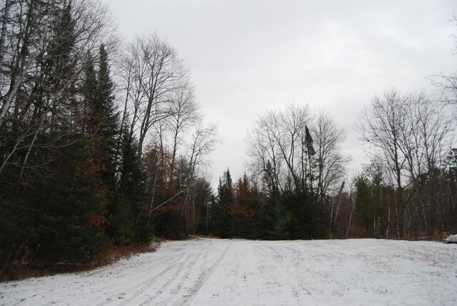 N11502 Nelson Rd, Wausaukee, WI 54177 - view of street