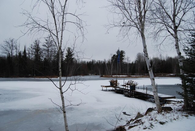 N11502 Nelson Rd, Wausaukee, WI 54177 - view of snowy yard