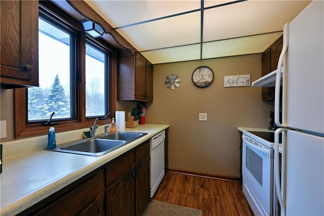 kitchen with dark brown cabinets, white appliances, dark hardwood / wood-style floors, and sink