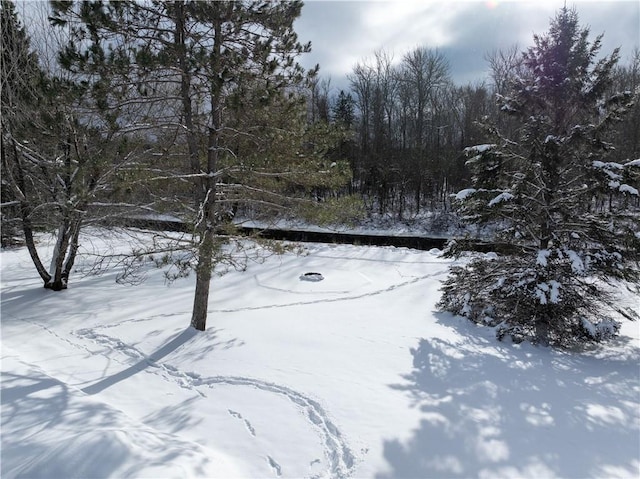 view of snowy yard