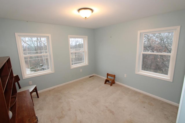 living area featuring light colored carpet