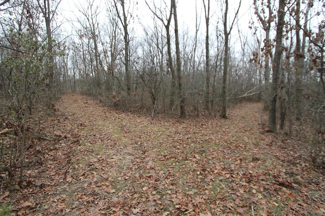 view of local wilderness