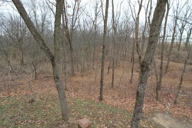 view of local wilderness