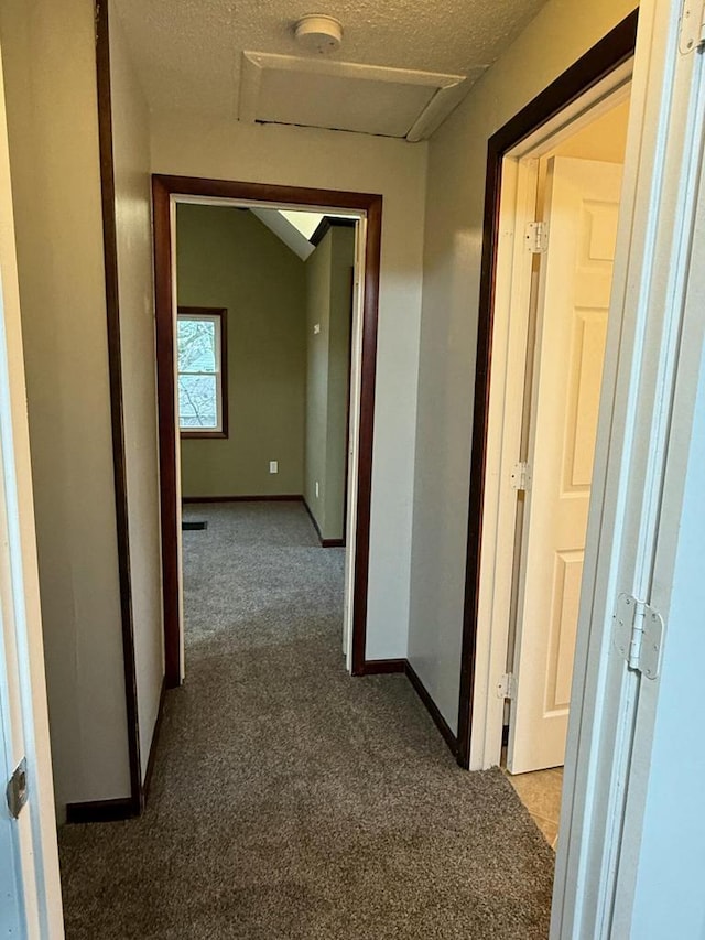 corridor featuring carpet and a textured ceiling