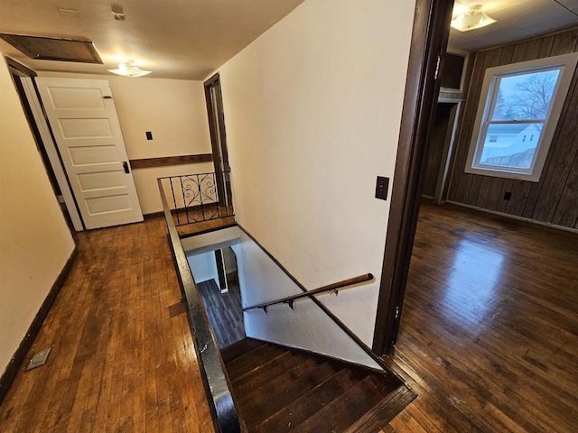 hallway featuring dark wood-type flooring and wooden walls