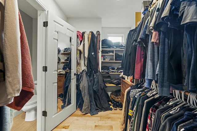 walk in closet with hardwood / wood-style flooring