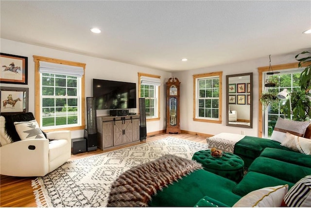 living room with light hardwood / wood-style floors and a healthy amount of sunlight