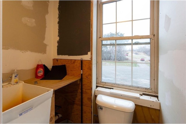 bathroom featuring toilet, plenty of natural light, and sink