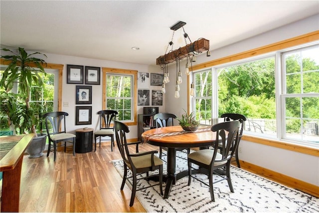 dining room with light hardwood / wood-style floors and a wealth of natural light