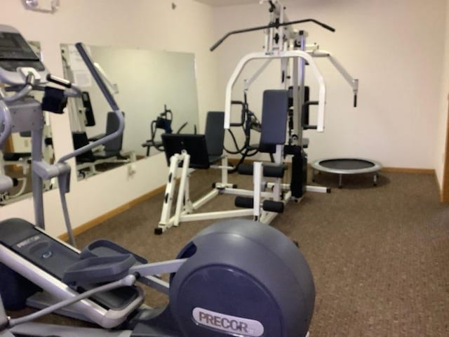 exercise room featuring carpet floors