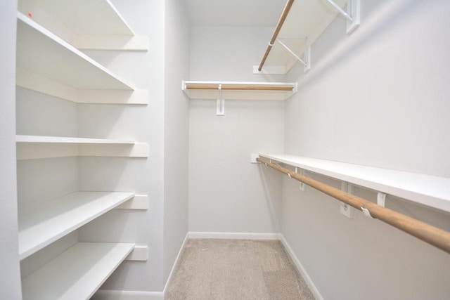 929 5 Mile Rd, Racine, WI 53402 - walk in closet with light carpet