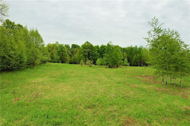 view of landscape with a rural view