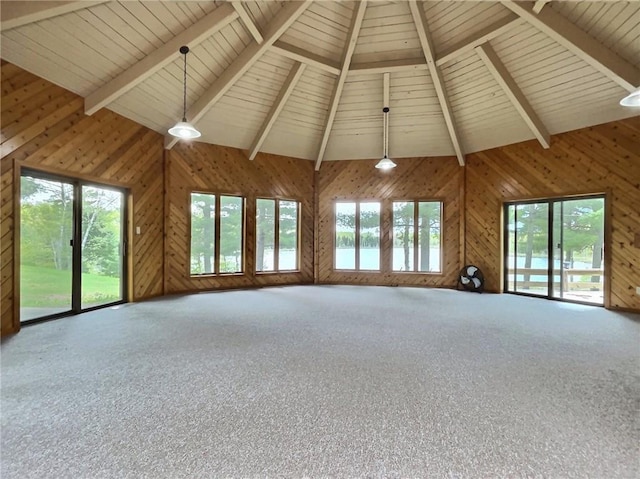 unfurnished living room featuring wood walls and a healthy amount of sunlight