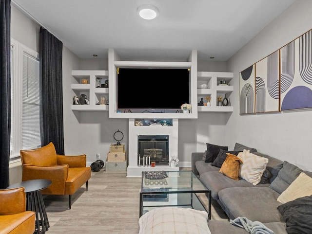 living room featuring light hardwood / wood-style floors