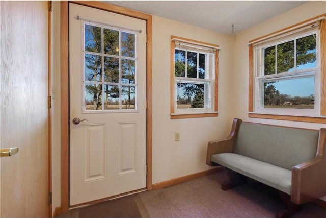 doorway featuring a wealth of natural light