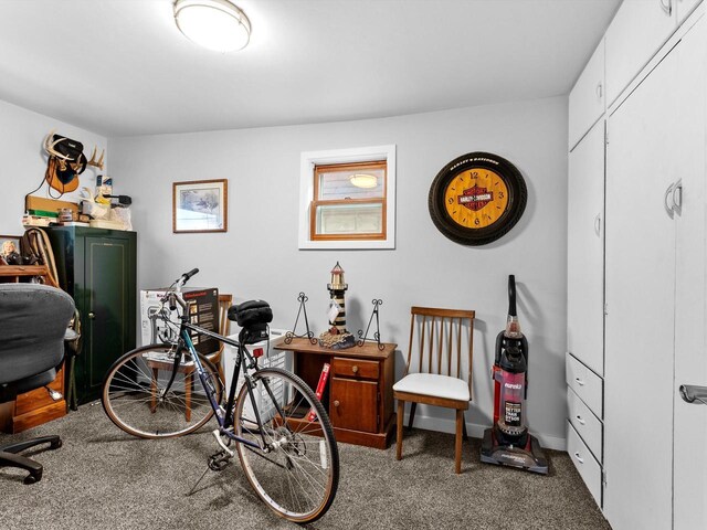 interior space featuring carpet flooring