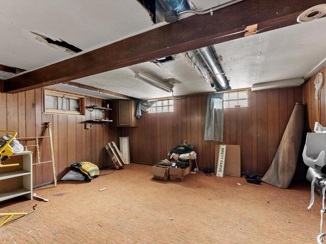 basement with wood walls