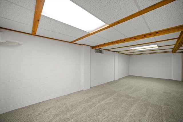 basement featuring carpet