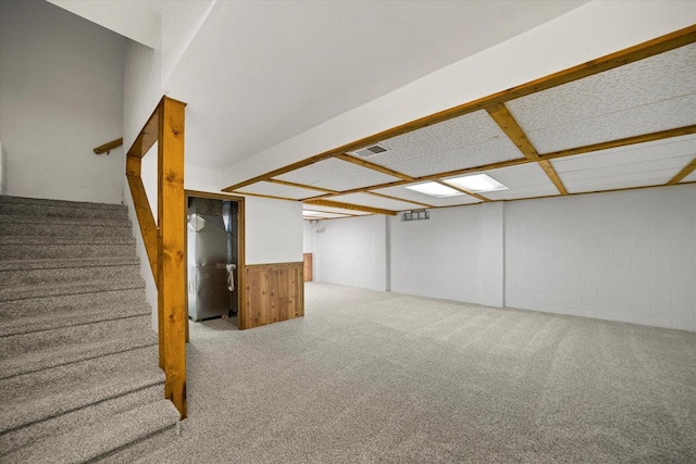 basement featuring carpet floors