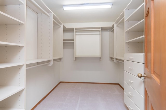 walk in closet featuring light carpet