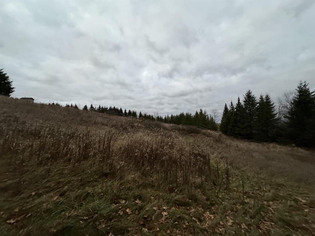 Hempton Lake Rd, Reedsville WI, 54230 land for sale