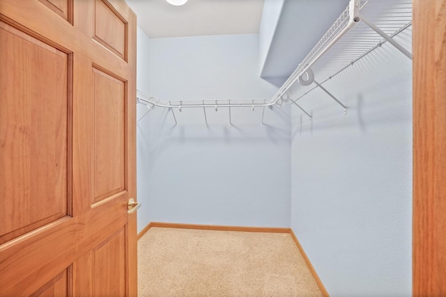 walk in closet featuring carpet