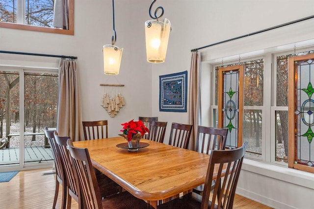 458 Pro Trl, Nekoosa, WI 54457 - dining area with healthy amount of natural light and light wood finished floors