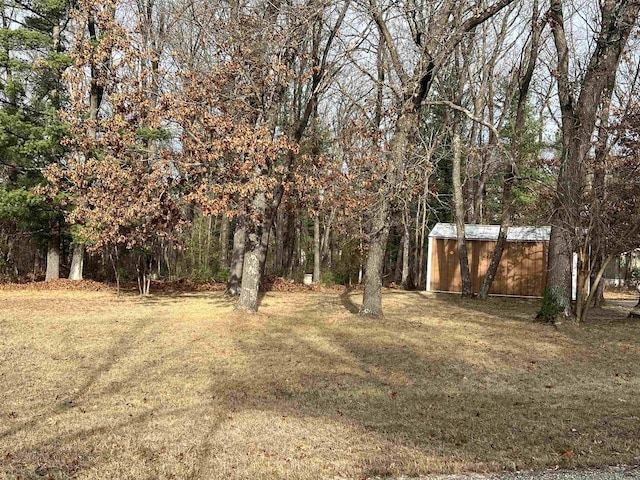 view of yard with a storage unit