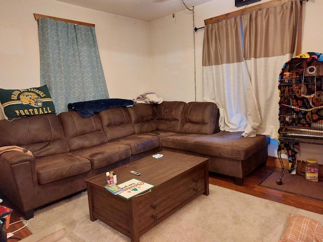 living room featuring light hardwood / wood-style flooring