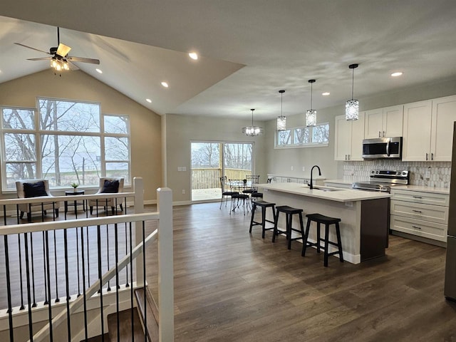 kitchen with dark wood-type flooring, white cabinetry, plenty of natural light, and stainless steel appliances