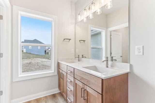 bathroom with vanity and wood-type flooring