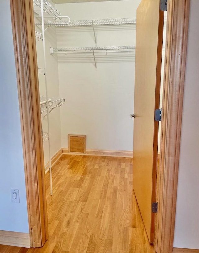 walk in closet with hardwood / wood-style flooring