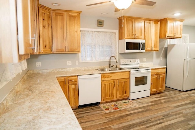 kitchen featuring ceiling fan, light hardwood / wood-style floors, white appliances, and sink